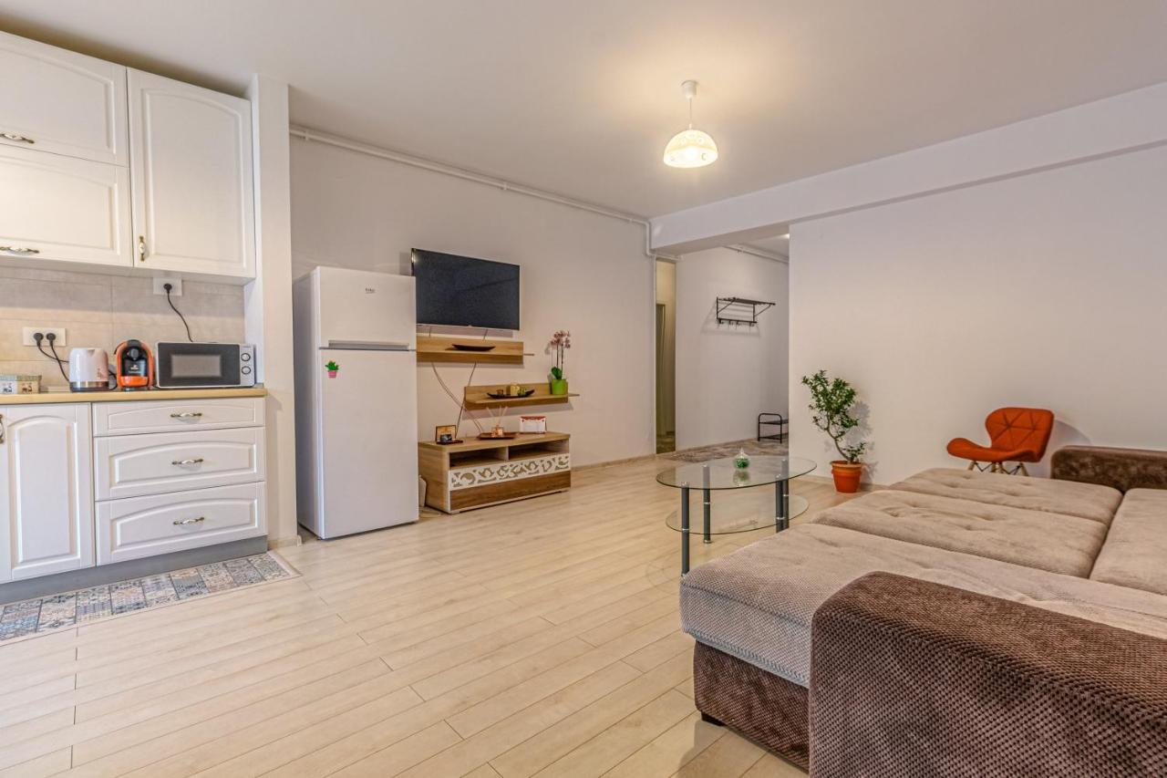 Appartement Opera Apart 2 à Braşov Extérieur photo