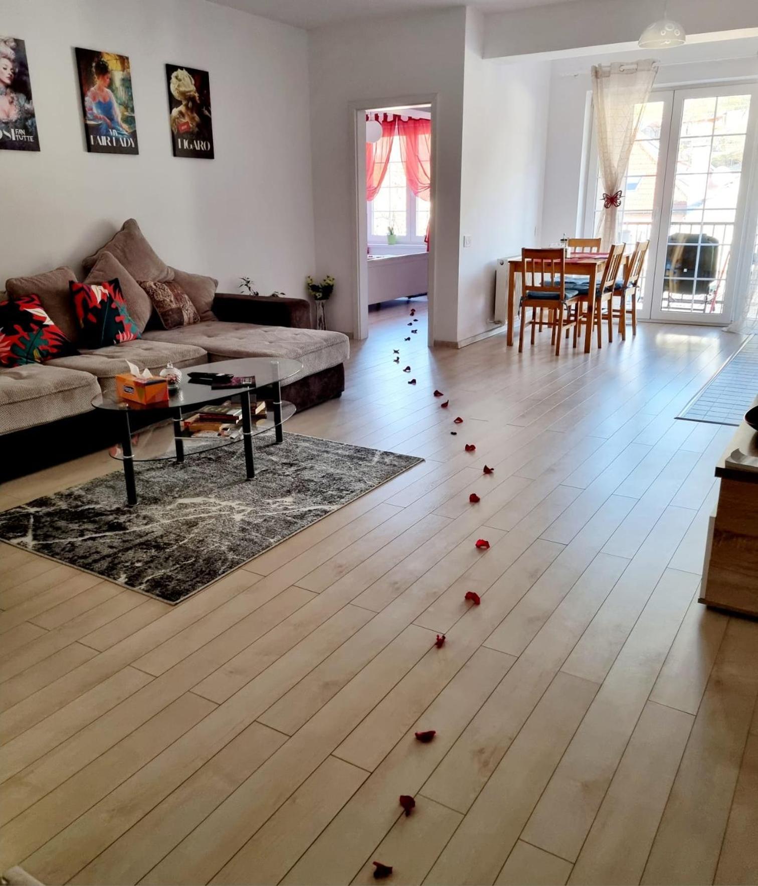 Appartement Opera Apart 2 à Braşov Extérieur photo